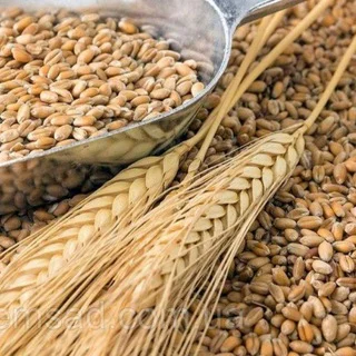🇺🇦🌻АгроБiржа🌾UA🌽🇺🇦 telegram Group link