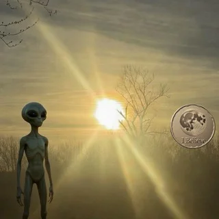 Alien in my backyard telegram Group link