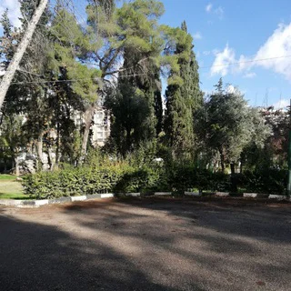 كروب تعارف سوريا و دردشة صبايا صداقة شباب حلب السبيل telegram Group link