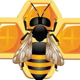 sirdaryo viloyati asal arichilar 🐝 telegram Group link