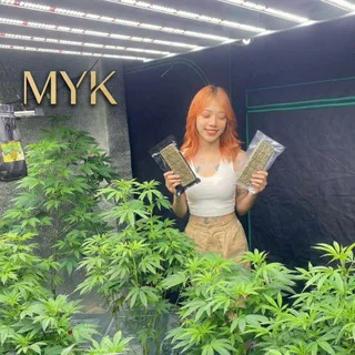 Bani Tenang KL telegram Group link