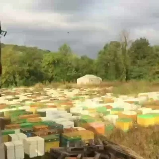 Пчеловодство, Москва. telegram Group link