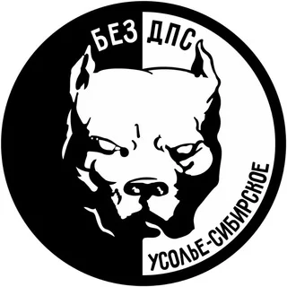 ⚜️БЕЗ ДПС⚜️ Усолье-Сибирское и район telegram Group link
