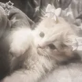 Взаимная подписка | реакции - Group with 896 groups in Social/Friendship/Community