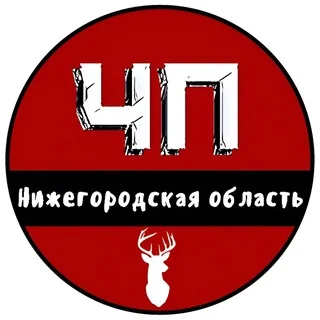 ЧП Нижний Новгород - ЧАТ telegram Group link