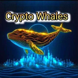 community (🐋الحيتان) telegram Group link