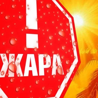 Криптожара telegram Group link