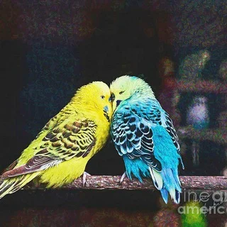 Dating Group, India telegram Group link