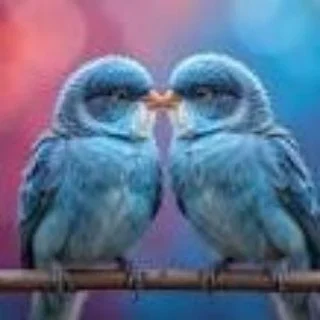 Delhi NCR Dating Group telegram Group link