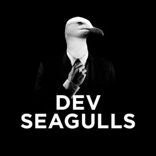 Dev Seagulls Chat telegram Group link