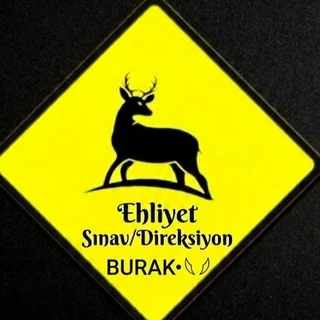 EHLİYET Sınav/Direksiyon telegram Group link