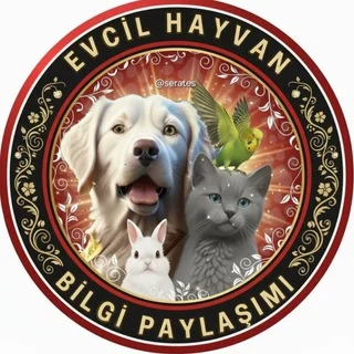 Evcil Hayvan Bilgi Paylaşımı telegram Group link