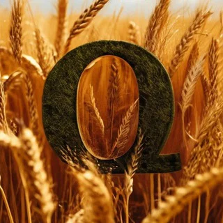 ФЕРМАЛОГИЯ CS2 🌾 Chat telegram Group link
