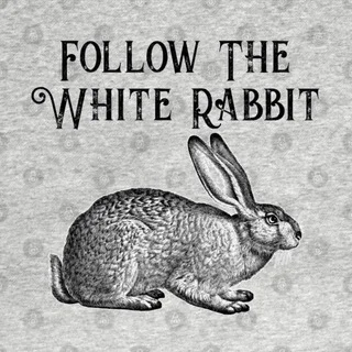 Follow The White Rabbit ™ Chat 🐇 telegram Group link