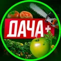 ДАЧА, САД И ОГОРОД. +Баня. telegram Group link