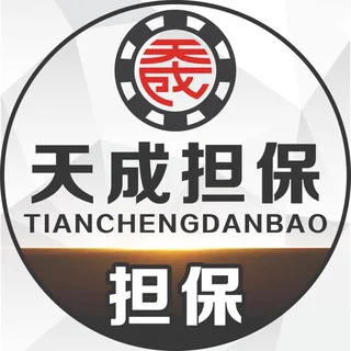 天成担保—支付资源群 telegram Group link