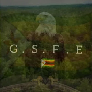 Ğ.Š.F.Ê ŻÎMBÅBWĘ 🇿🇼 telegram Group link