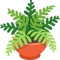 Зелёный маркет | комнатные растения куплю продам Россия 🪴 - Group with 2873 groups in Common