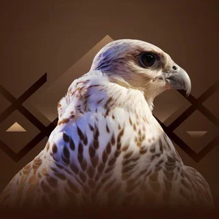 زاد الـرمــاي telegram Group link