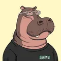 HippoClub中文社区 - Group with 712 groups in Common