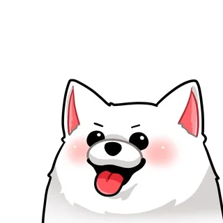 오늘의꿀통｜수다방 telegram Group link