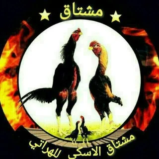 DAKAN BOZOR... telegram Group link