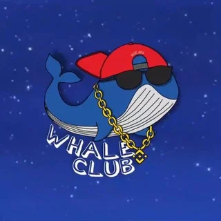 🐳ihzans whale club🐳 telegram Group link