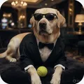 James Bond Dog 🎯🎯🔫 🐶 - Group with 617 groups in Entertainment/Masti