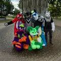 Magdeburger Furrys telegram Group link