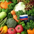 🇷🇺 МЕГАОВОЩ - Group with 3282 groups in Common
