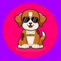 MiniDane telegram Group link