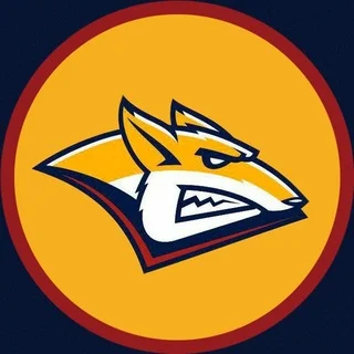 Независимая Гостевая 🏒 telegram Group link