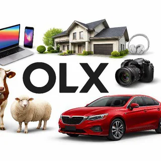 OLX Navoiy Konimex Zafarabad telegram Group link