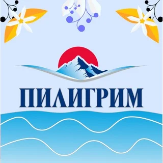 Пилигрим Chat telegram Group link