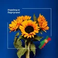 Українці в Португалії💛💙 - Group with 7182 groups in Common