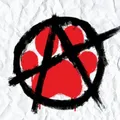 ❤️‍🔥Punk Furs New England❤️‍🔥 (18+) telegram Group link