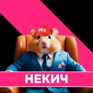 Некич chat telegram Group link