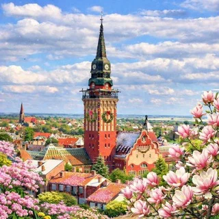 Русская Суботица telegram Group link