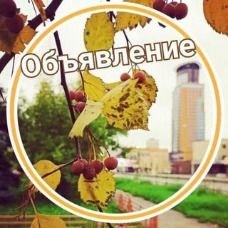 Щёлково работа вакансии telegram Group link