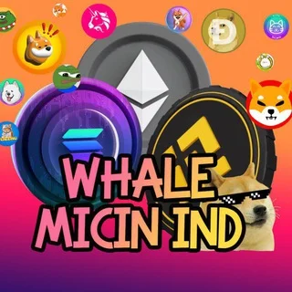 SOLANA WHALE INDONESIA 🐳🐬 telegram Group link