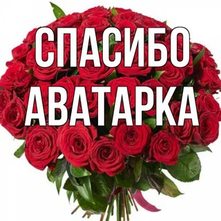 СПАСИБО ЗА ЧАТ telegram Group link