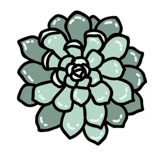 Суккуленты Чат 🌵 telegram Group link