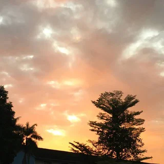 sunset lovers 🌅 telegram Group link