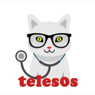Телечат telegram Group link
