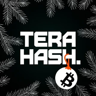 TeraHash Chat telegram Group link