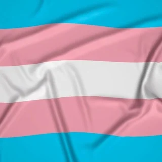 Trans community telegram Group link