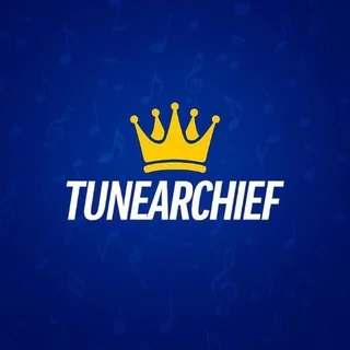 🍃 • TuneArchief telegram Group link