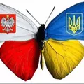 Польща: підтримка українців 🇺🇦🇵🇱 telegram group and channel join link Польща: підтримка українців 🇺🇦🇵🇱 - Group with 8102 groups in Social/Friendship/Community