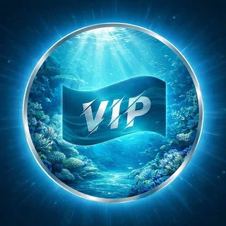VIPDAGET KINGDOM telegram Group link