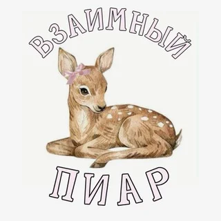 Взаимный пиар 🤍 telegram Group link